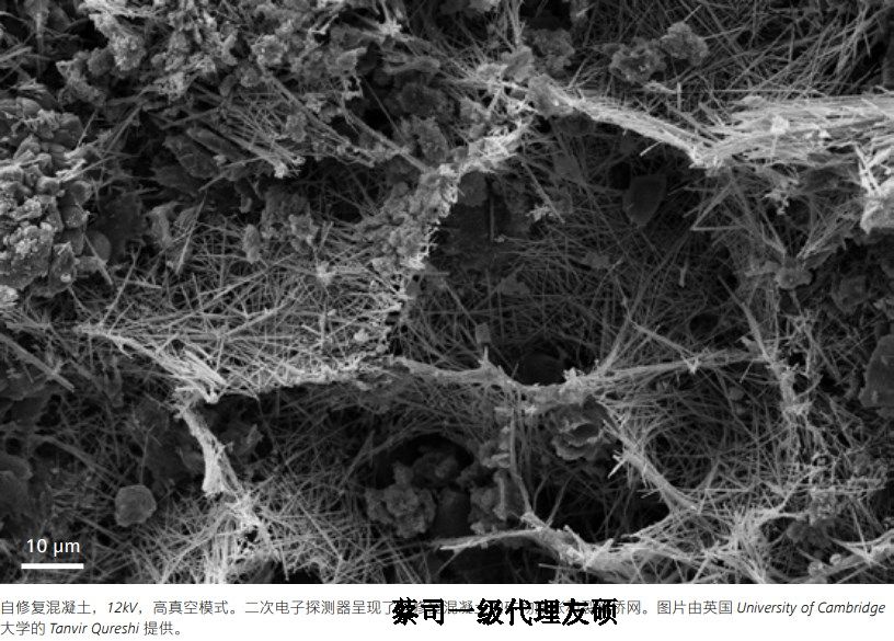 辽宁蔡司辽宁扫描电镜