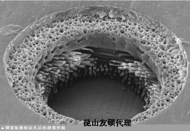 辽宁蔡司辽宁扫描电镜